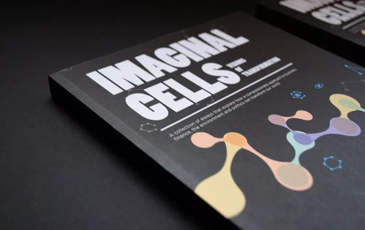 Imaginal Cells: Visions of Transformation